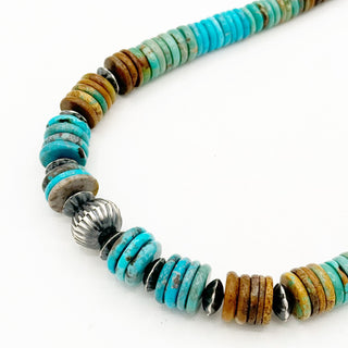 Hespera and Crystal Hailey Rainbow Turquoise Necklace