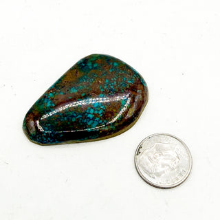 Highgrade Royston Killer Cabs