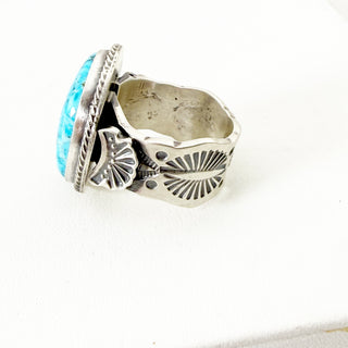 The Blue Weather Ring by Sheila Tso