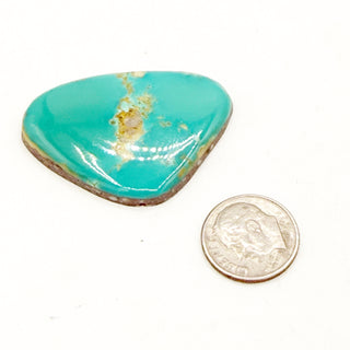 Highgrade Royston Killer Cabs