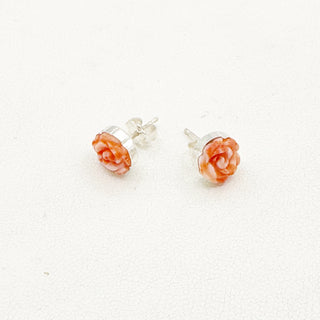 Donnalee Shewmake Desert Dreams Earrings