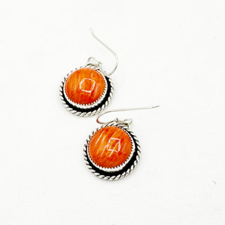 Donnalee Shewmake Desert Dreams Earrings