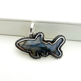 Sharkie Charm