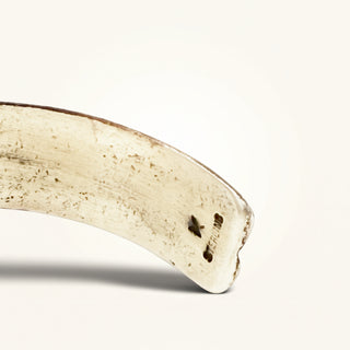 Close-up of a curved bone object on a white background